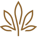 Kivaconfections